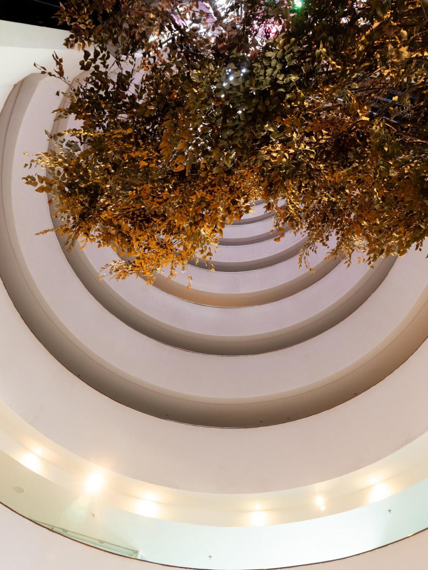 Radisson 5*
